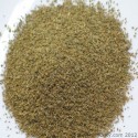 Celery Seed Oil (Apium Graveolens) - 10 ml