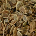 Dill Seed Oil (Anethum Graveolens) - 10 ml