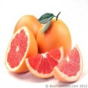 Grapefruit Oil (Citrus Paradisi) - 10 ml