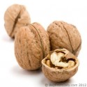 Walnut Oil(Juglans Regia) - 100 ml