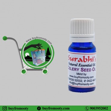 Celery Seed Oil (Apium Graveolens) - 10 ml